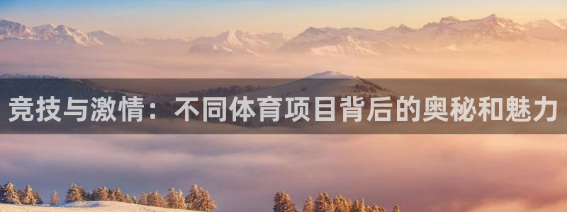 球皇直播cctv5：竞技与激情：不同体育项目背后的奥秘和魅力