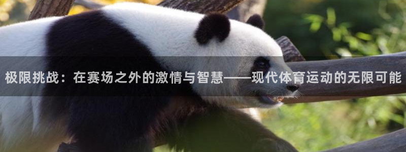 球皇直播8：极限挑战：在赛场之外的激情与智慧——现代体育运动的无限可能