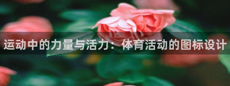 球皇社直播app官方下载无病毒：运动中的力量与活力：体育活动的图标设计