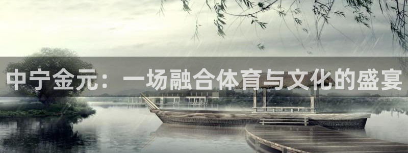 球皇lol：中宁金元：一场融合体育与文化的盛宴