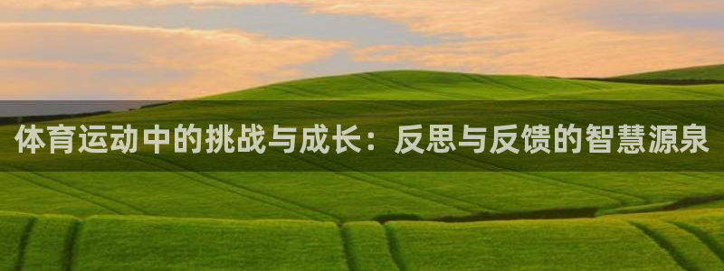 9球皇后：体育运动中的挑战与成长：反思与反馈的智慧源泉