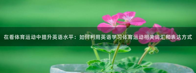 球皇直播cctv5：在看体育运动中提升英语水平：如何利用英语学习体育运动相关词汇和表达方式