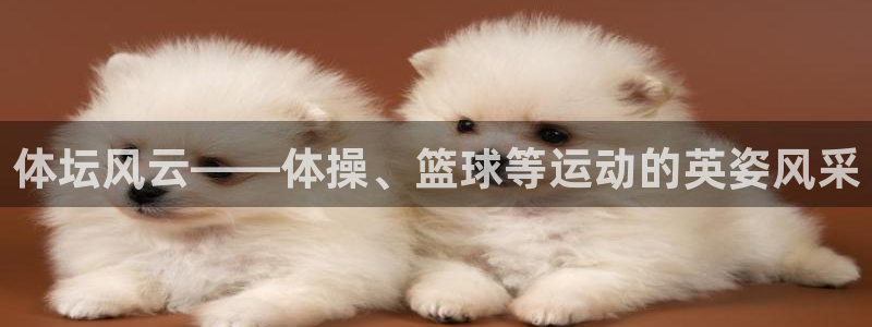 球皇杜：体坛风云——体操、篮球等运动的英姿风采