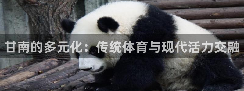 球皇看球：甘南的多元化：传统体育与现代活力交融