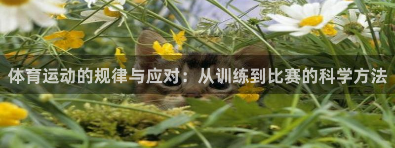 球皇直播间：体育运动的规律与应对：从训练到比赛的科学方法
