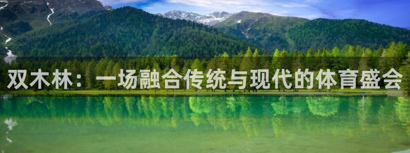 球皇直播nba：双木林：一场融合传统与现代的体育盛会